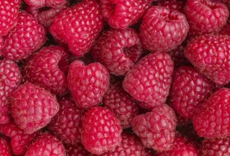 Protecting Raspberries from Birds